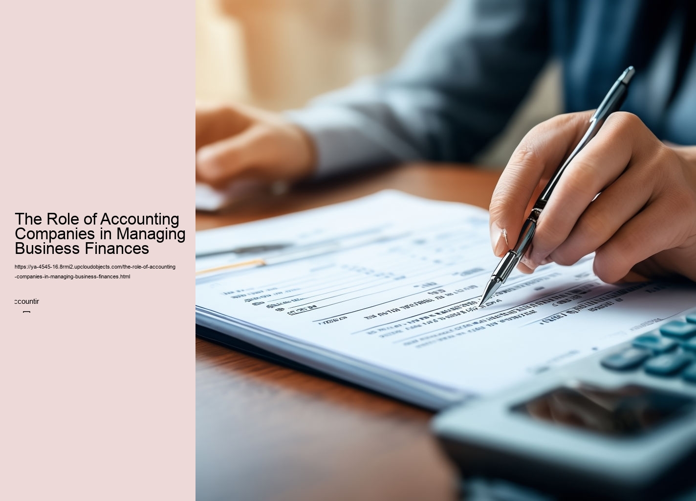 The Role of Accounting Companies in Managing Business Finances